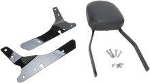 Load image into Gallery viewer, Cobra Standard Sissy Bar - Black - Sportster 602-1153B - Side View
