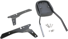 Load image into Gallery viewer, Cobra Standard Sissy Bar - Black - Sportster 602-1153B - Back View