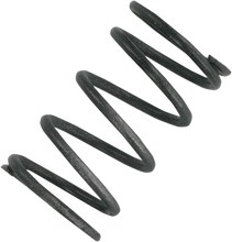 Load image into Gallery viewer, Comet Industries Clutch Spring - Silver/Black - Main Product View