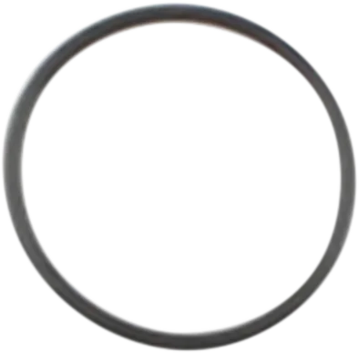 Cometic Starter Housing O-Ring - Big Twin C9433F1 - Side View
