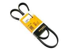 Load image into Gallery viewer, Continental Belt 4K X 1245 - Main Product View