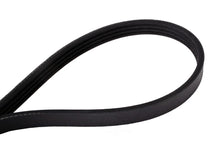 Load image into Gallery viewer, Continental Belt 4K X 863 4K863 fits 2002-2006 BMW 325Ci / 2002-2005 BMW 325i / 2002-2005 BMW 325xi / 2002-2006 BMW 330Ci ...