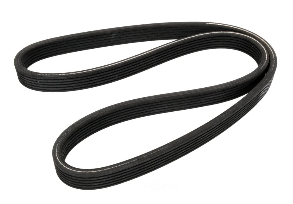 Continental Belt 5DK X 1554 5DK1554 fits 2006-2014 Volkswagen Beetle / Jetta / Passat - Side View