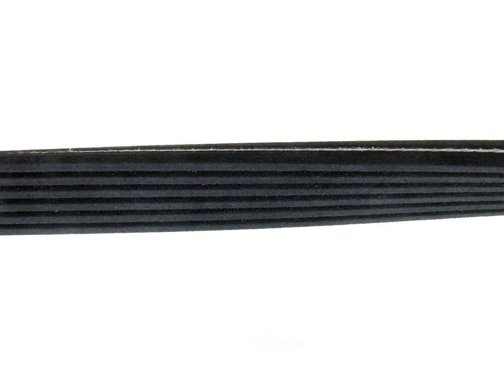 Continental Belt 5DK X 1554 5DK1554 fits 2006-2014 Volkswagen Beetle / Jetta / Passat - Detail View