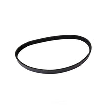 Load image into Gallery viewer, Continental Belt 5K X 1300 5PK 1300 fits 1997 Audi A4 / 1998 Audi A4 Quattro / 1999 Volkswagen Passat / 2003 Volkswagen Pa...