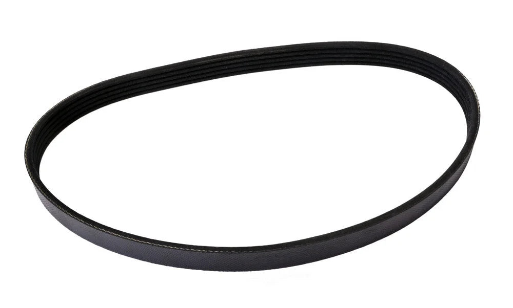 Continental Belt 5K X 830 5K830 fits 2001-2008 BMW M3 / Z3 / Z4 - Detail View