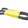 Load image into Gallery viewer, Continental Belt 6K X 1352 6PK1352 fits 2002 Mercedes-Benz C230 / 2001 Mercedes-Benz SLK230