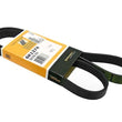 Load image into Gallery viewer, Continental Belt 6K X 1374 6PK1374 fits 2002 Mini Cooper S