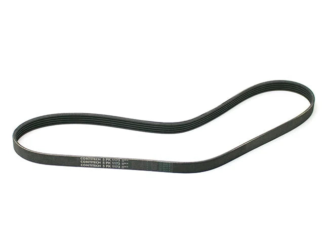 Continental Belt 6K X 2490
