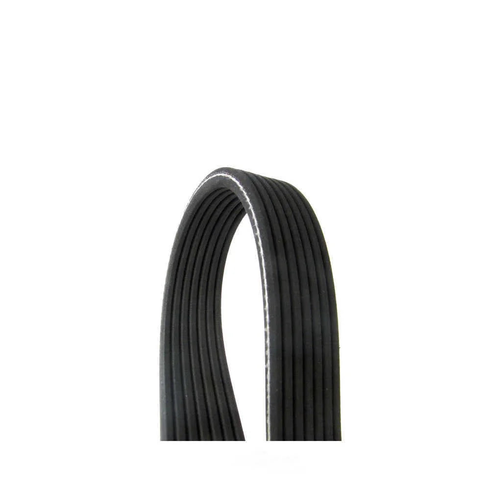 Continental Belt 7DPK X 2950 7DPK 2950 fits 2003-2006 Porsche Cayenne - Main Product View