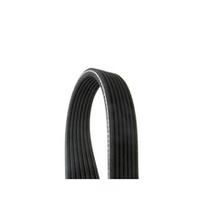 Load image into Gallery viewer, Continental Belt 7DPK X 2950 7DPK 2950 fits 2003-2006 Porsche Cayenne - Main Product View