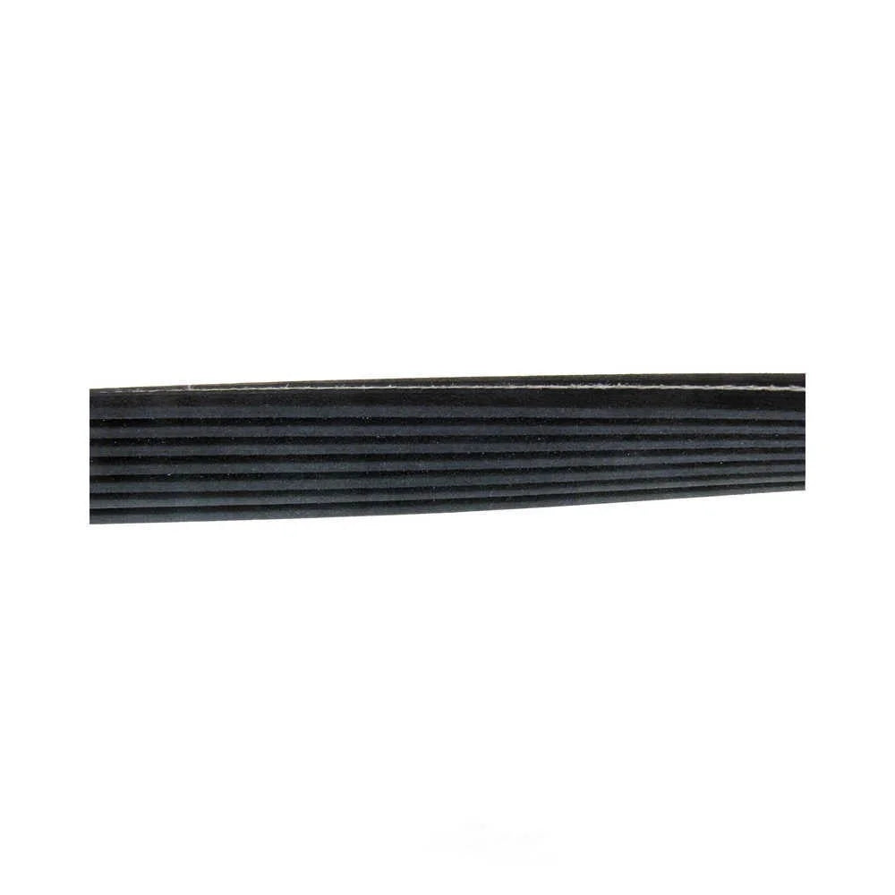 Continental Belt 7DPK X 2950 7DPK 2950 fits 2003-2006 Porsche Cayenne - Back View