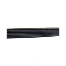 Load image into Gallery viewer, Continental Belt 7DPK X 2950 7DPK 2950 fits 2003-2006 Porsche Cayenne - Back View