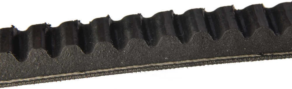 Continental Drive Belt 13 X 1150 13X1150 fits 1983-1991 Volkswagen Vanagon - Side View