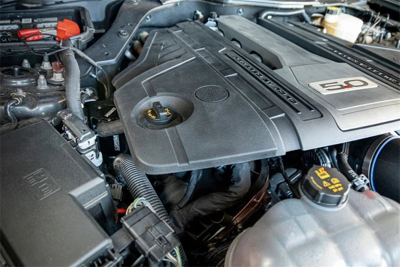 Corsa 2018-2023 Ford Mustang GT 5.0L V8 Oil Catch Can - Detail View