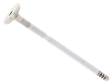 Load image into Gallery viewer, Corteco Exhaust Valve 82554205