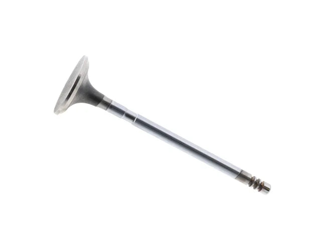 Corteco Intake Valve 82554204