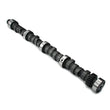 Load image into Gallery viewer, Crower Cams Hydraulic Cam - Pontiac V8 - Hot Street Beast 60916