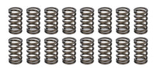 Load image into Gallery viewer, Crower Cams Valve Springs - 1.045 68195-16