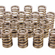 Load image into Gallery viewer, Crower Cams Valve Springs - 604 Crate Engine 68135-16