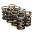 Load image into Gallery viewer, Crower Cams Valve Springs - Dual 68324-8