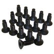 Load image into Gallery viewer, Crown Automotive Jeep Replacement Windshield Frame Screw Kit, Black, Includes 16 Torx Screws 6035757K - Main Product View