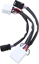 Load image into Gallery viewer, Custom Dynamics Adapter - Dual Color Plasma Rods PR-MPRSEQ-HD - Main Product View