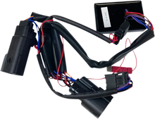 Load image into Gallery viewer, Custom Dynamics Adapter - Dual Color Plasma Rods PR-MPRSEQ-HD - Detail View