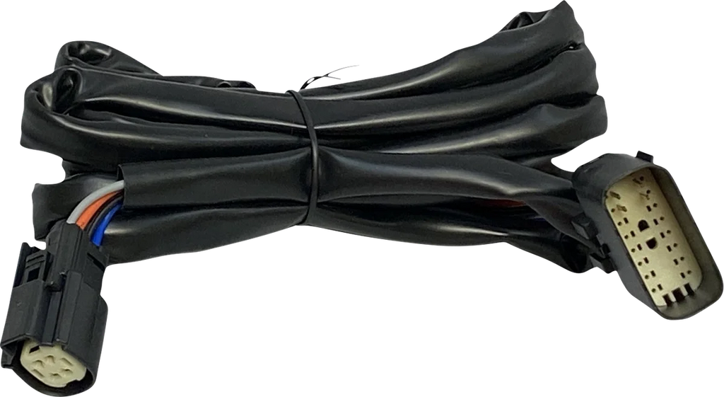 Custom Dynamics Harness - Rear Speakers - Tour-Pak CD-HARN-TP-2 - Main Product View