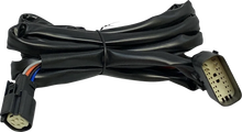 Load image into Gallery viewer, Custom Dynamics Harness - Rear Speakers - Tour-Pak CD-HARN-TP-2 - Main Product View