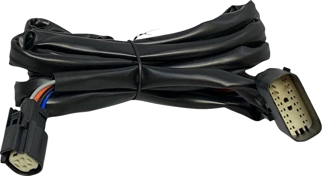 Custom Dynamics Harness - Rear Speakers - Tour-Pak CD-HARN-TP-2 - Side View