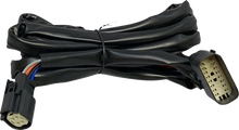 Load image into Gallery viewer, Custom Dynamics Harness - Rear Speakers - Tour-Pak CD-HARN-TP-2 - Side View