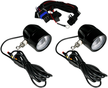 Load image into Gallery viewer, Custom Dynamics LED Fog Light - Indian - Black PB-FOG-IND-B - Main Product View