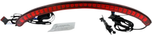 Load image into Gallery viewer, Custom Dynamics LED Taillight with Turn Signal - Red CD-FATBOB-R - Main Product View