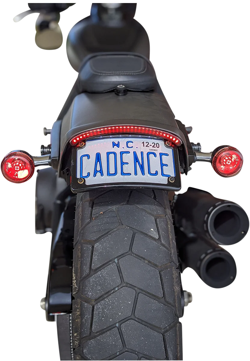 Custom Dynamics LED Taillight with Turn Signal - Red CD-FATBOB-R - Side View