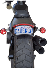 Load image into Gallery viewer, Custom Dynamics LED Taillight with Turn Signal - Smoke CD-FATBOB-S - Detail View