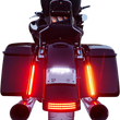 Load image into Gallery viewer, Custom Dynamics Plasma Rods - Dual Color - 10" PR-PLUG-DC-10 - Detail View