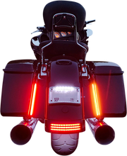 Load image into Gallery viewer, Custom Dynamics Plasma Rods - Dual Color - 8" PR-PLUG-DC-8 - Side View
