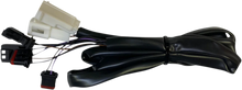 Load image into Gallery viewer, Custom Dynamics Taillight Harness - Low Rider CD-STTL-HARN - Main Product View