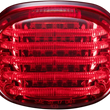 Load image into Gallery viewer, Custom Dynamics Taillight - with License Plate Illumination Window - Red PB-TL-SBW-R - Side View
