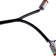 Load image into Gallery viewer, Custom Dynamics Wire Harness - Shark Demon® Headlight SD2-RG-HARN - Main Product View