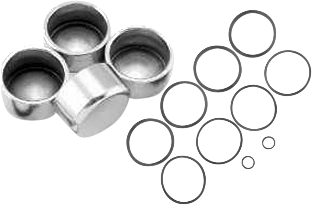 Cycle Craft Caliper Seals & Pistons 19143M - Main Product View