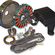 Load image into Gallery viewer, Cycle Electric 3-Phase Charging Kit - Harley Davidson CE-87T - Side View