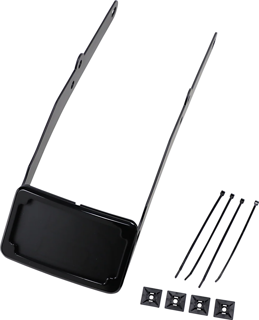 Cycle Visions LP Plate Frame & Mount with Tag Light - FLSL - Black CV4665B - Main Product View
