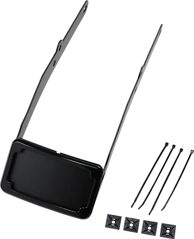 Cycle Visions LP Plate Frame & Mount with Tag Light - FLSL - Black...