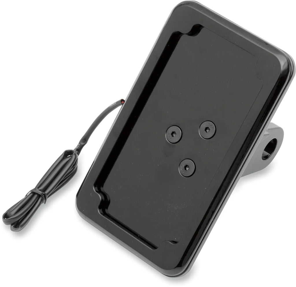Cycle Visions Vertical License Plate Mount with Light - '05+ XL - Black CV-4604BL - Main Product View