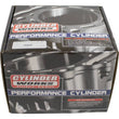 Load image into Gallery viewer, Cylinder Works 04-08 Arctic Cat 400 DVX 400cc Big Bore Cylinder 94mm - Back View