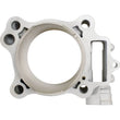 Load image into Gallery viewer, Cylinder Works 04-09 Honda CRF 250 R 250cc Big Bore Cylinder 81mm - Additional View 6
