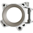 Load image into Gallery viewer, Cylinder Works 08-09 Honda TRX 700 XX 700cc Big Bore Cylinder 105mm - Additional View 6