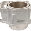 Load image into Gallery viewer, Cylinder Works 08-09 Honda TRX 700 XX 700cc Standard Bore 102mm - Main Product View